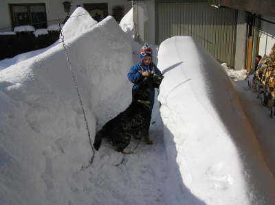 Garage und Hauseingang 1